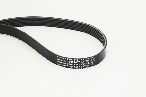 V-ribbed Belt